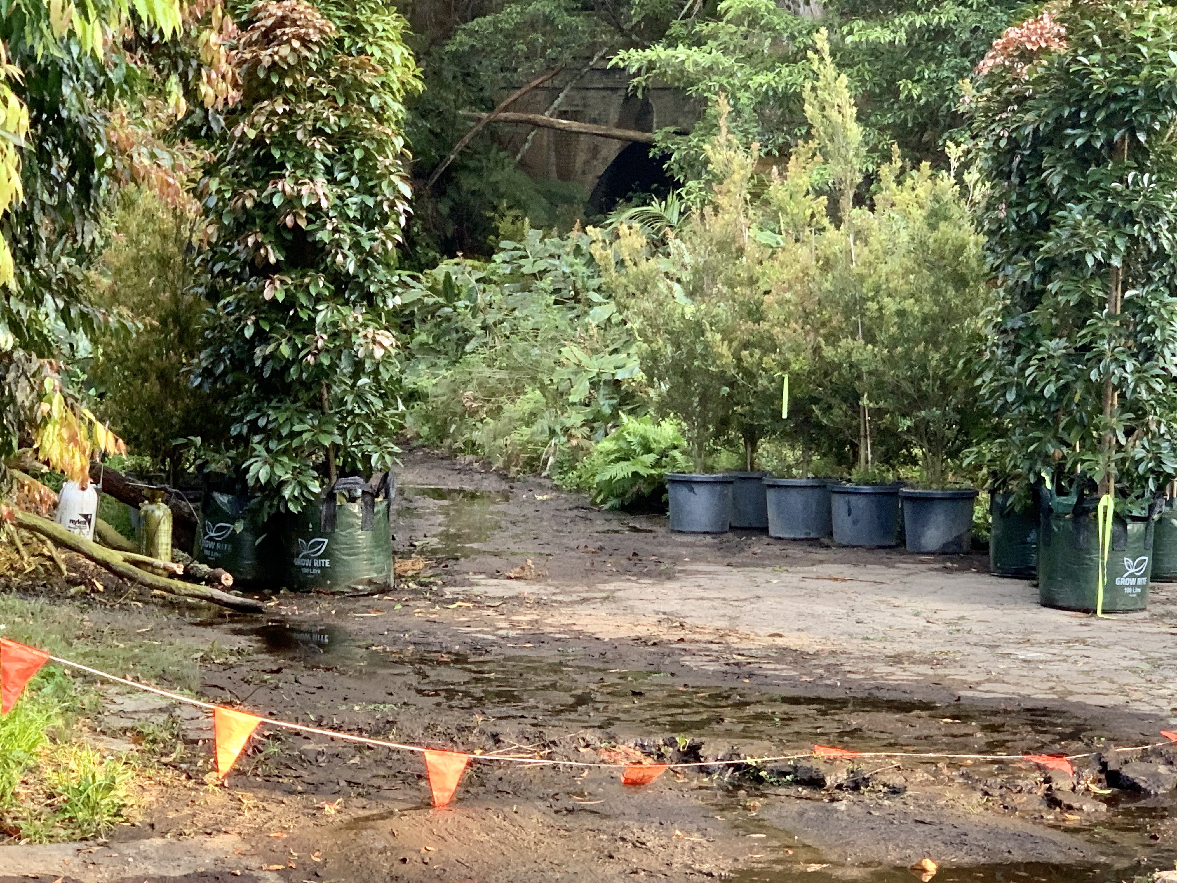 Helensburghers ready to help Hollywood