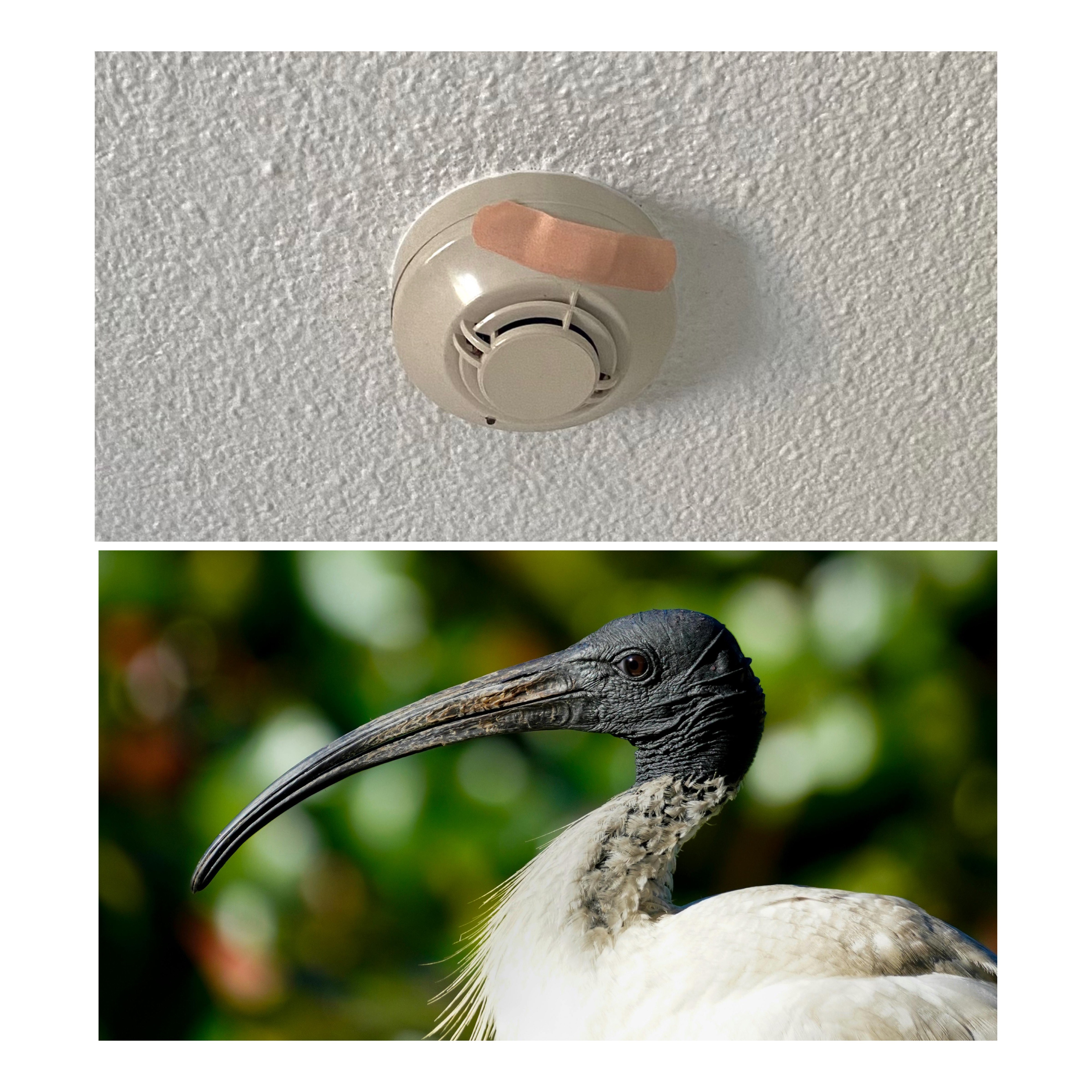 Cancelled plans and an oddly placed bandaid: The perils of dating your spouse in early parenthood  post image