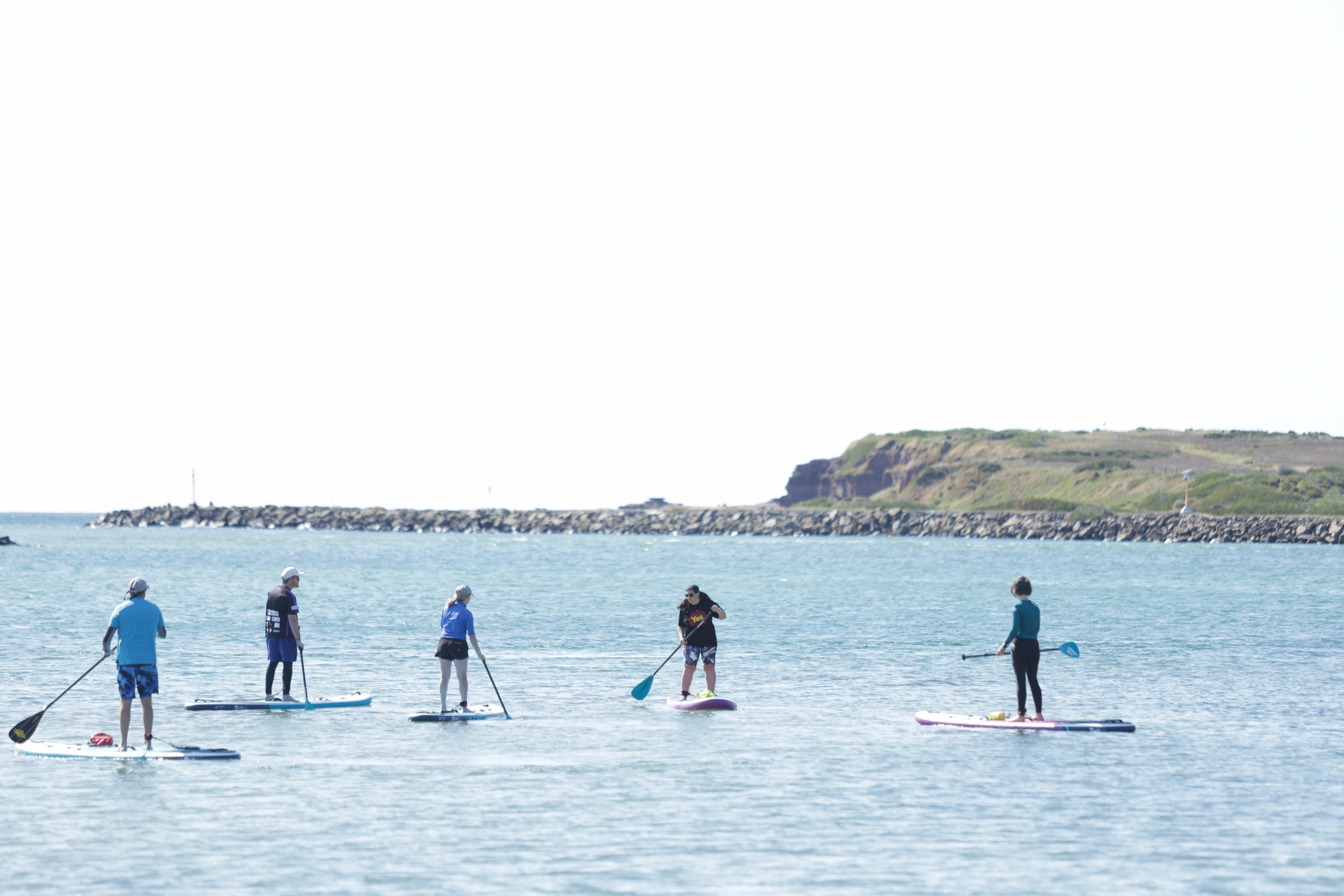 Volunteer power achieved rare Yes in Cunningham