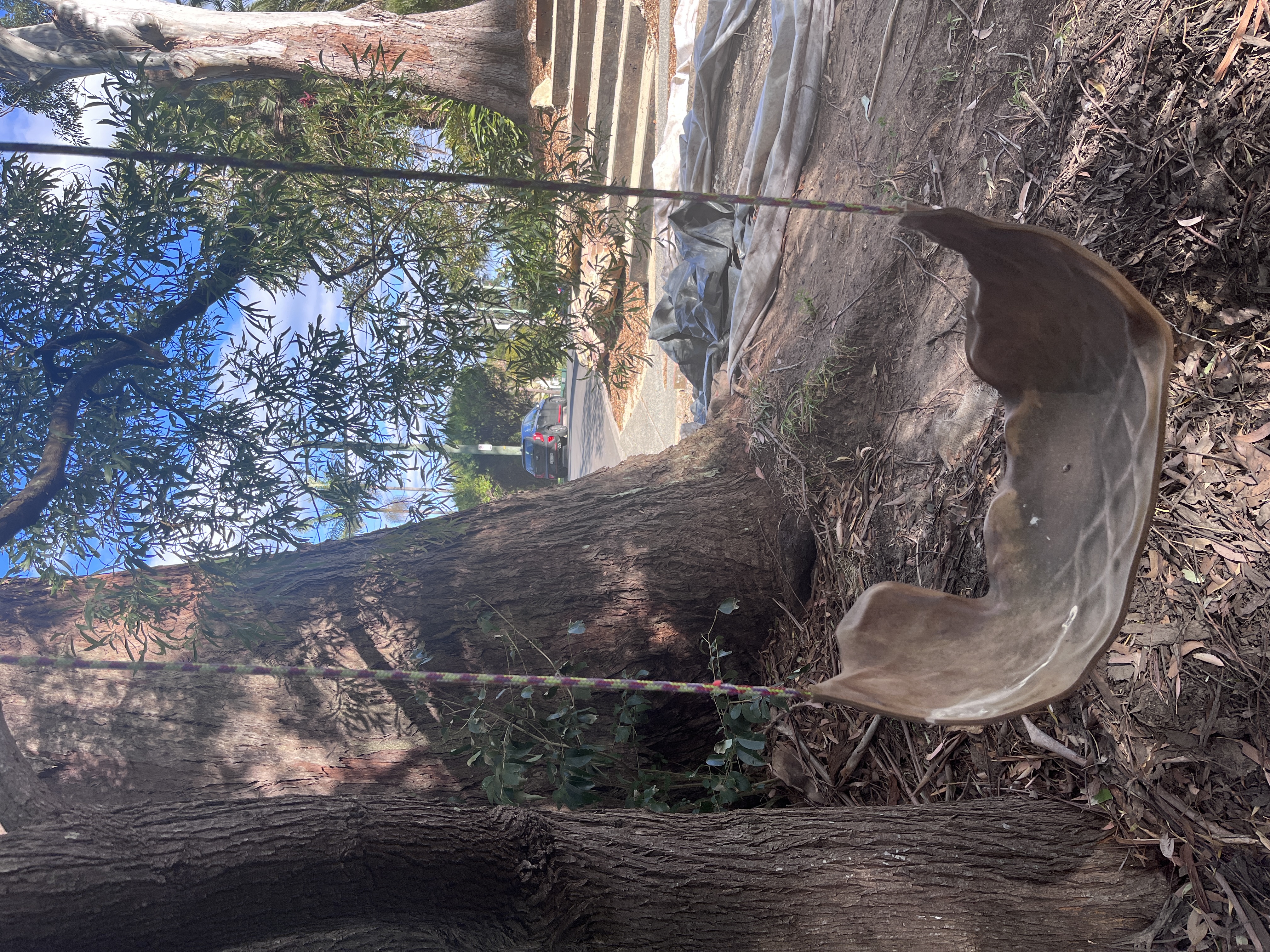 Trent Jansen to open his Thirroul studio for Festival of Architecture and Design  post image