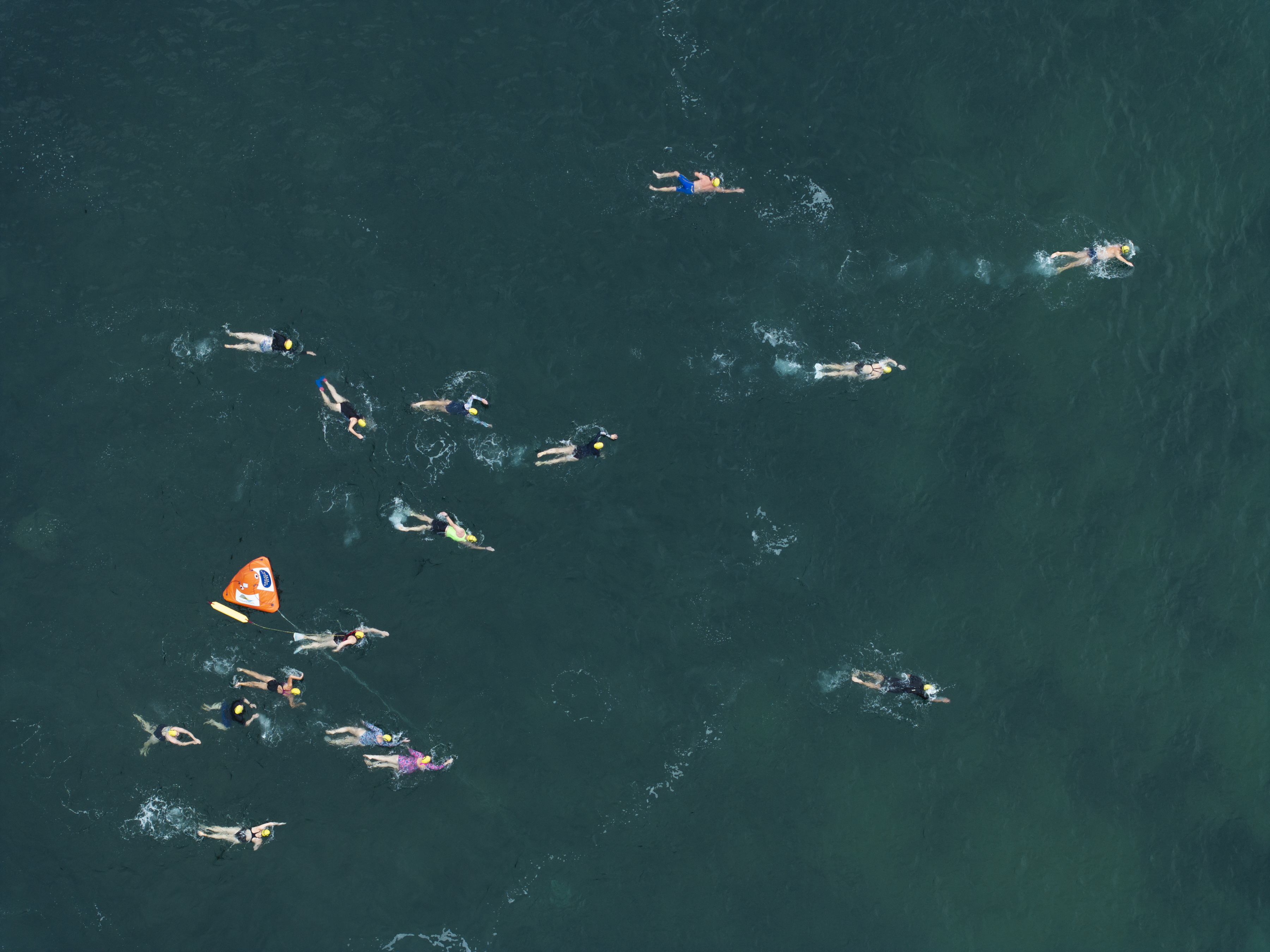 New Great Swim of the South comes to Coalcliff  post image
