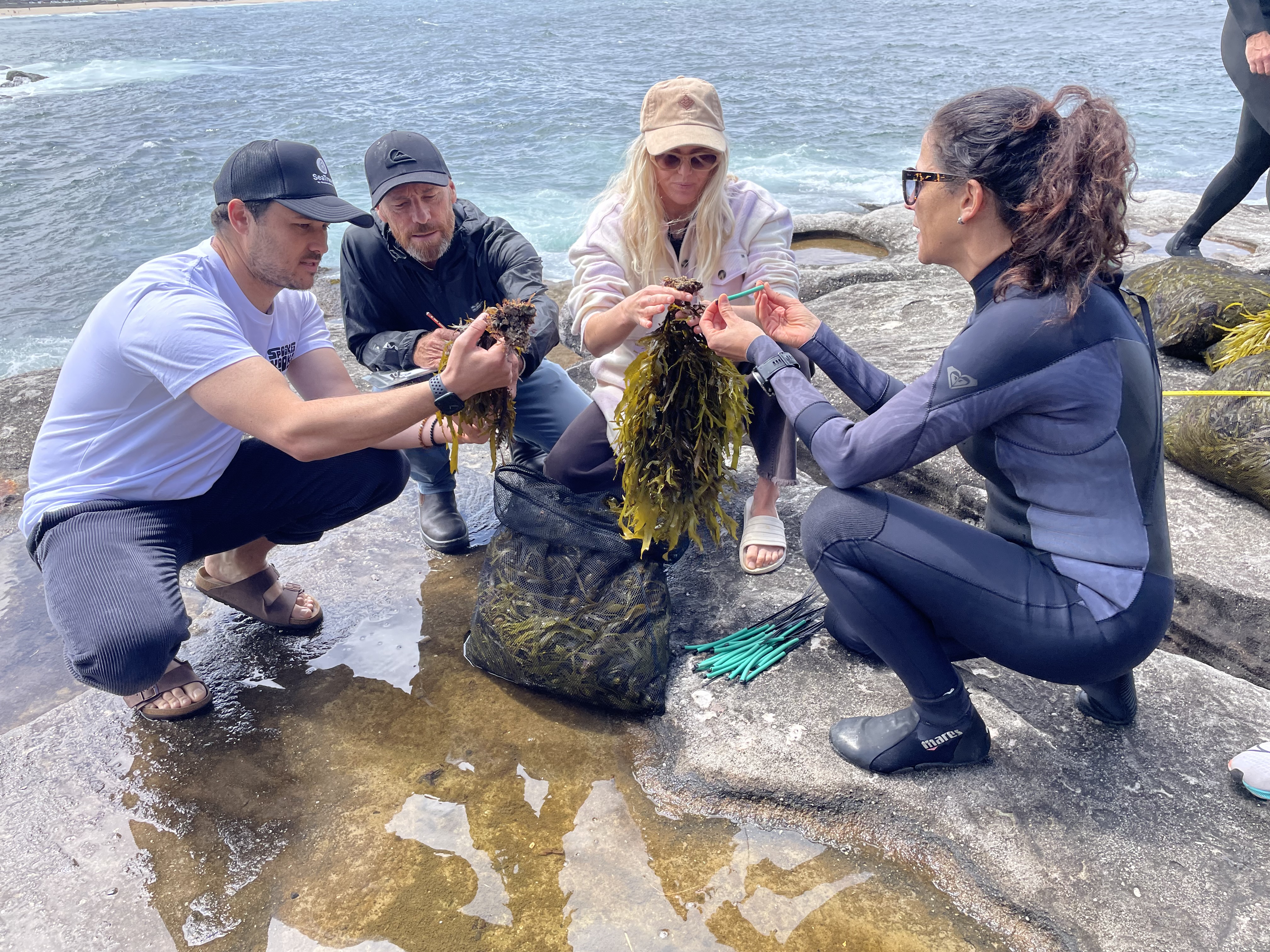 Surfrider supports Operation Crayweed  post image
