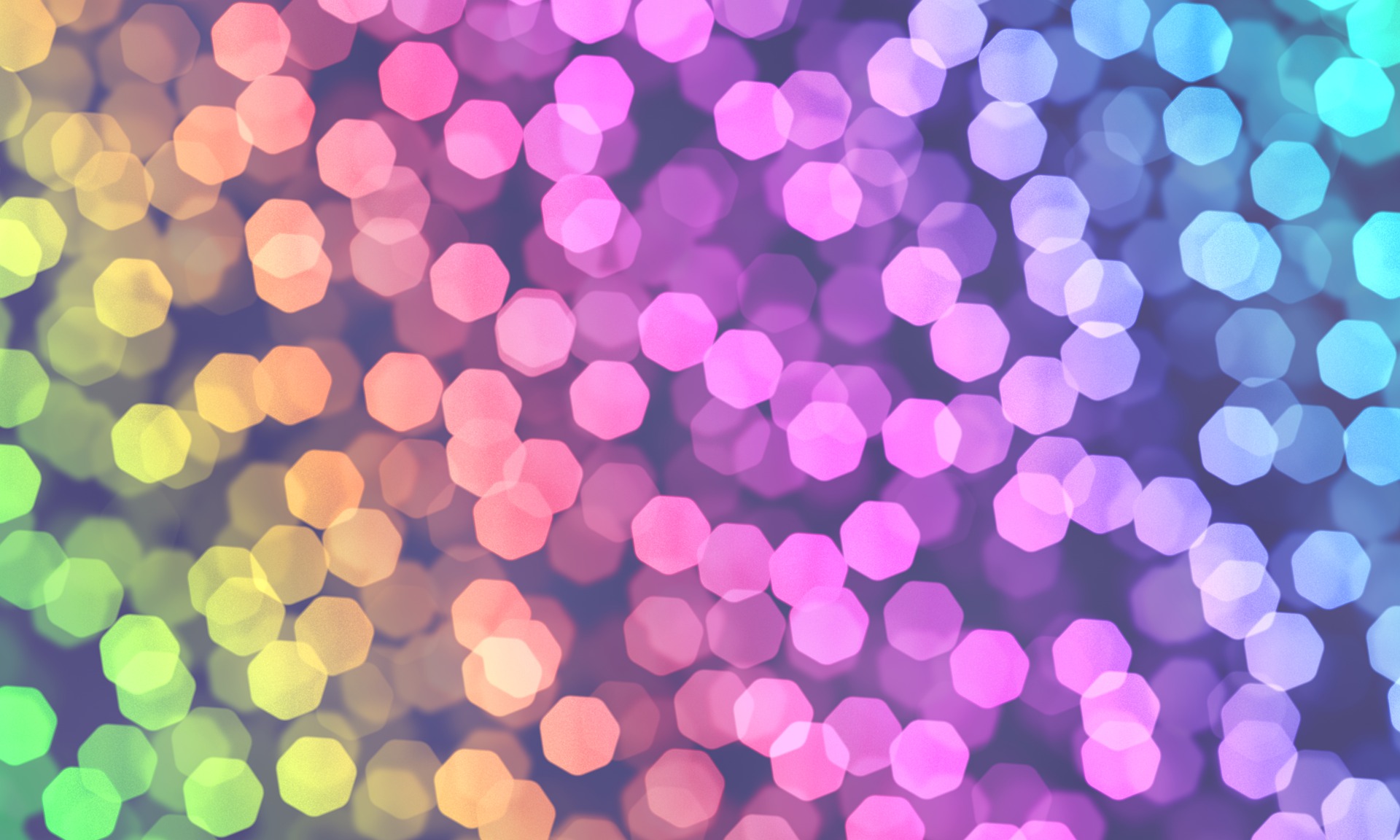 Council's Community Update: 8 June 2022