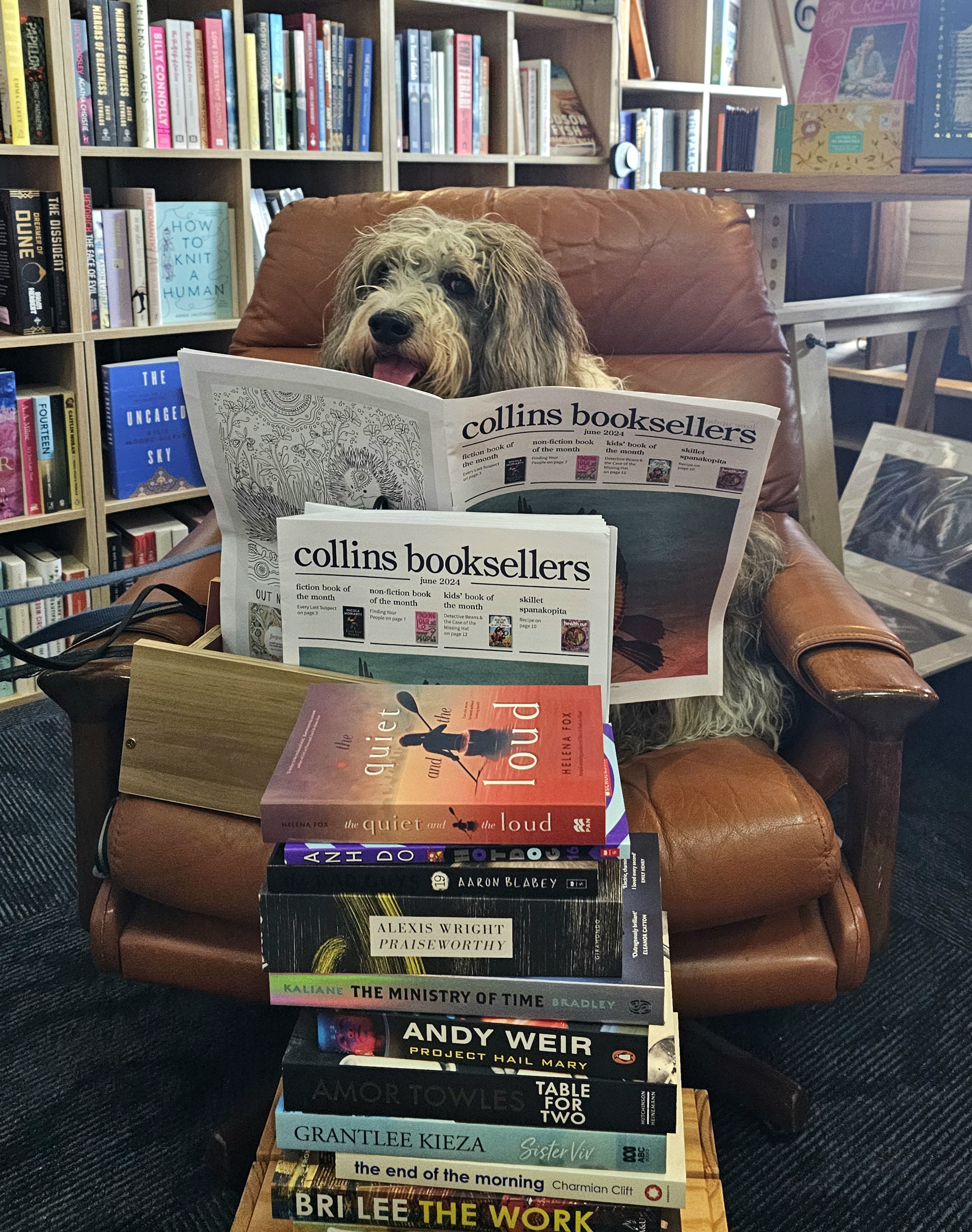 Cosy Reads, Local Winners and Bookish Events  post image