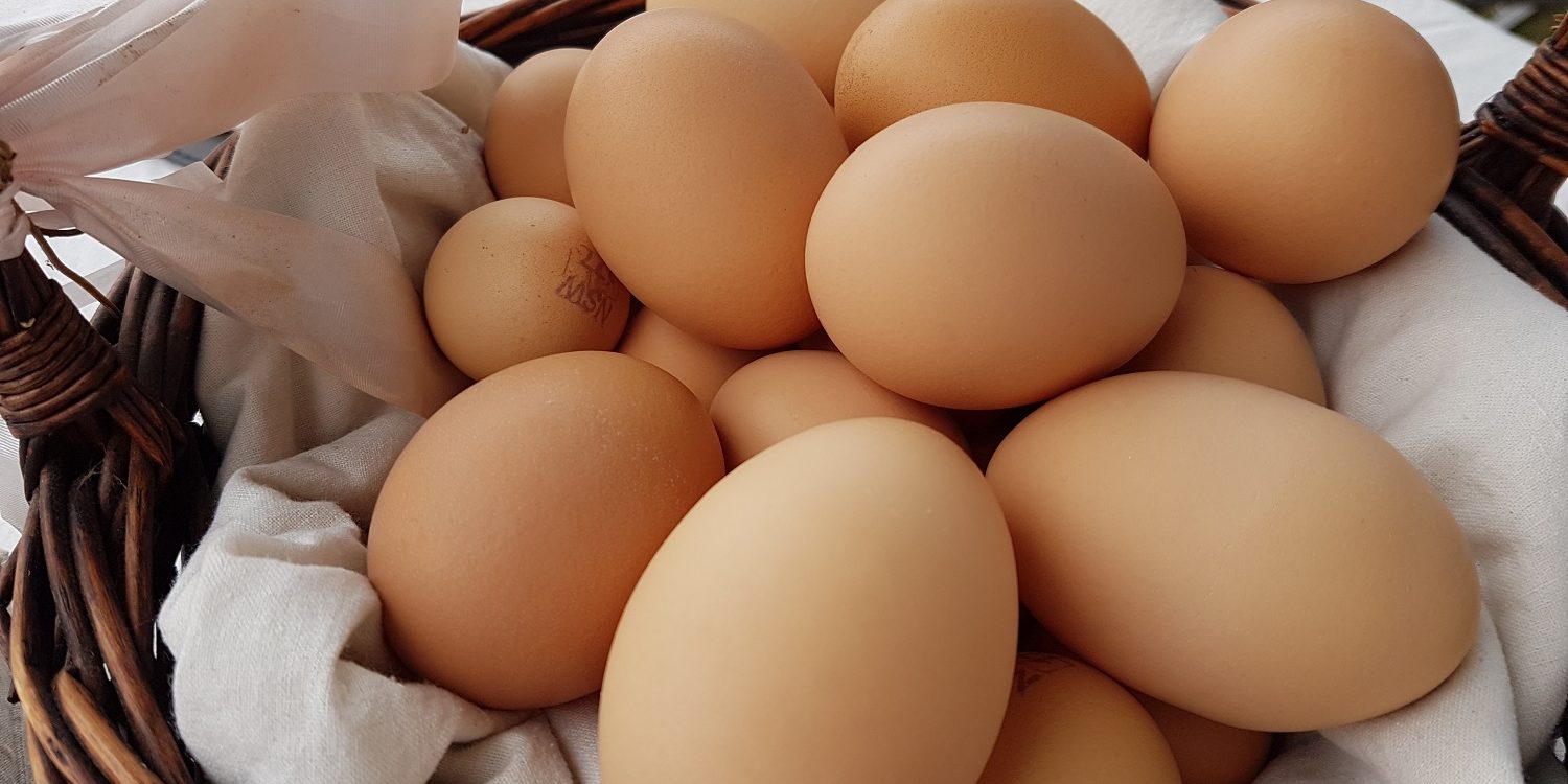 Let’s talk about eggs  post image