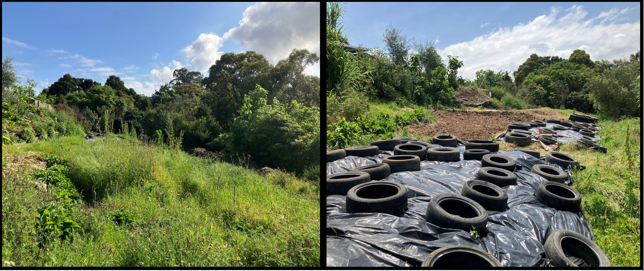 New Friendship Garden for Green Connect's Warrawong urban farm