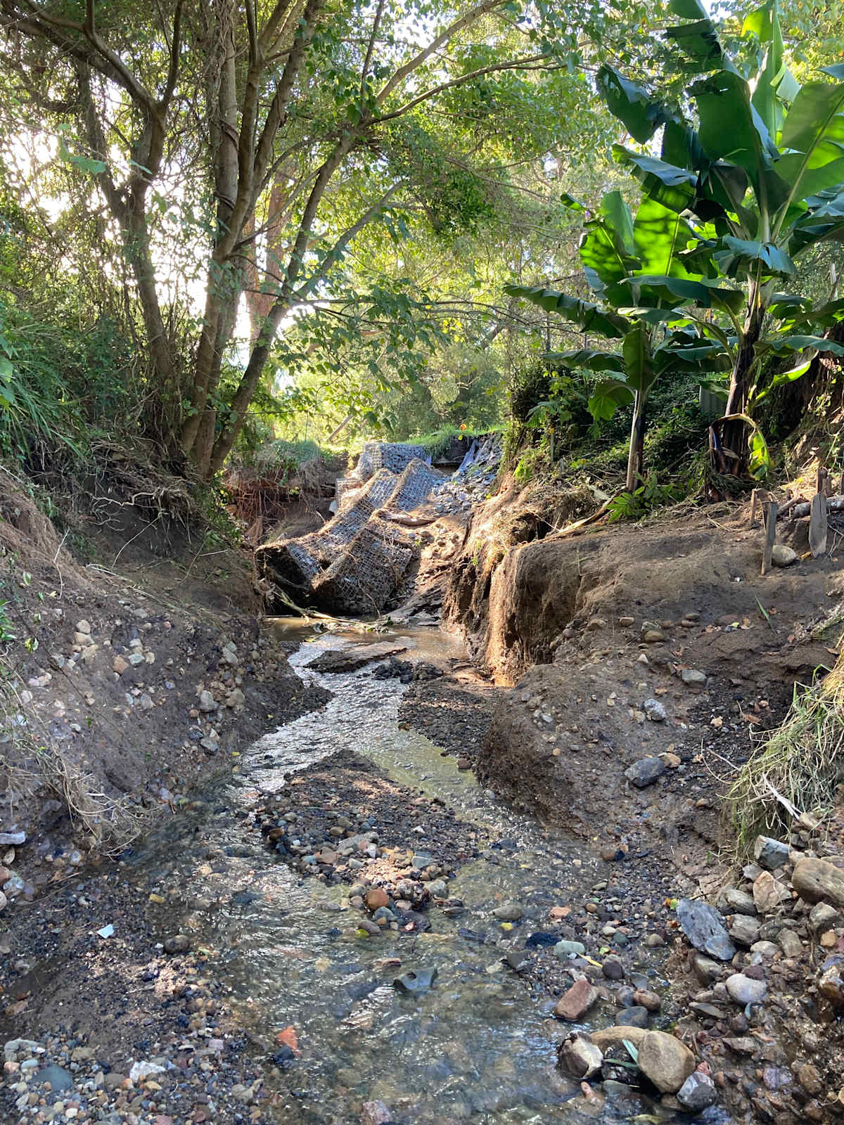 Very intense downpours in recent years have played havoc with in-stream infrastructure. This picture shows gabion wall structures build to protect an asset completely destroyed within weeks of installation. Image by Ruth Garland.  