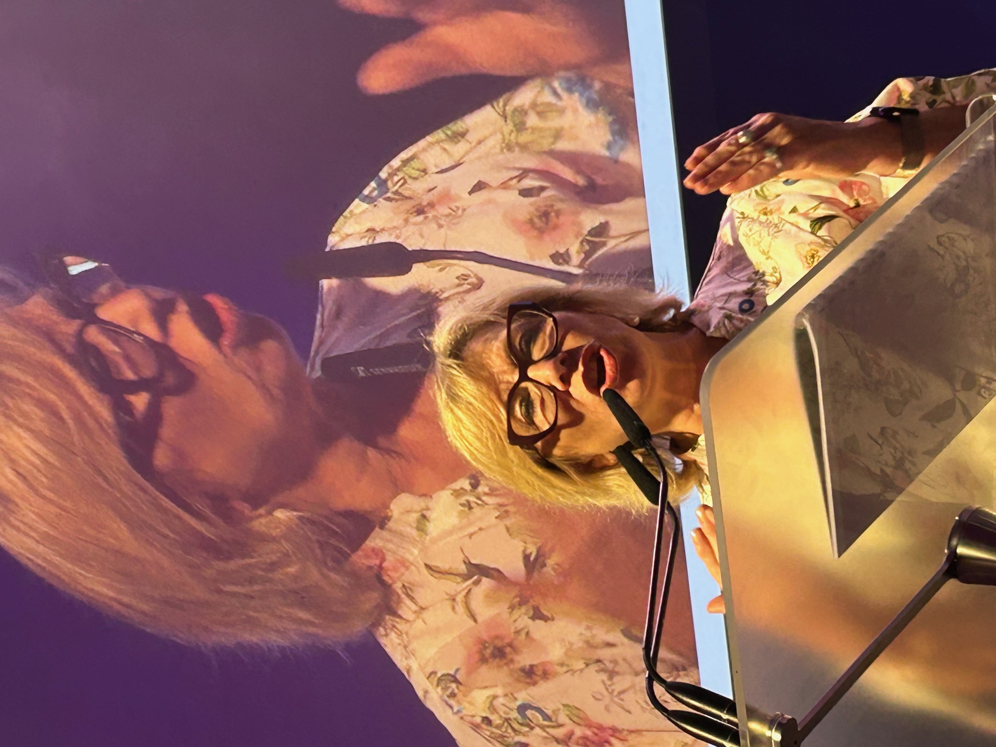 Rosie Batty tells sold-out International Women's Day event it's time for men to 'step up'  post image