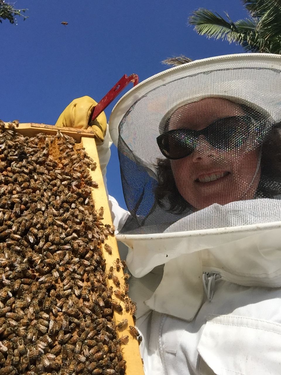 Hello honey! post image