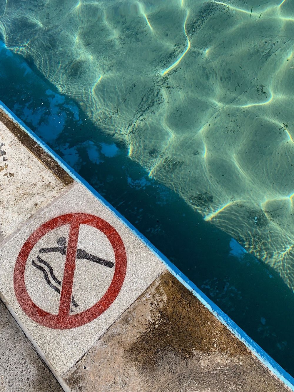 Sea Eels grounded post image