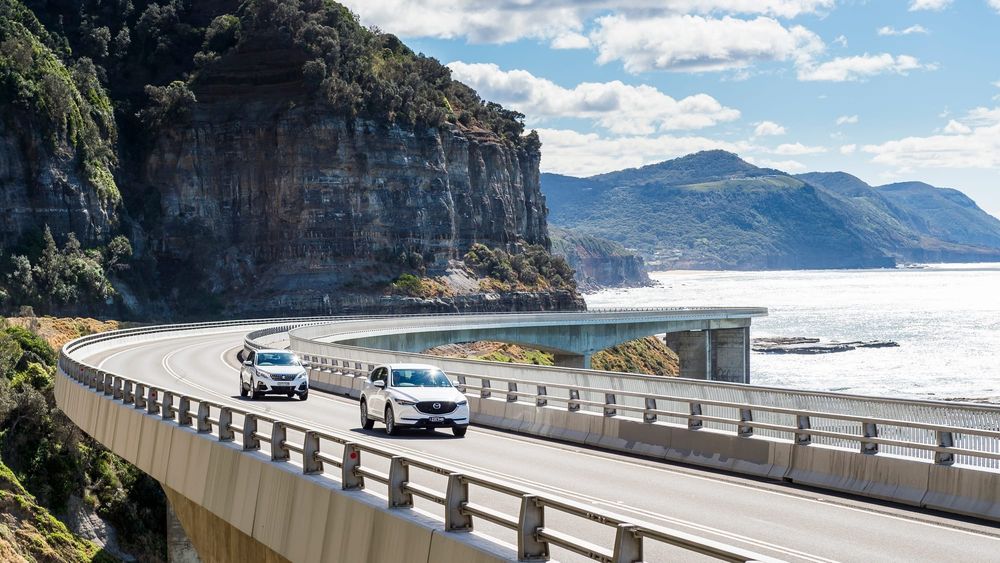Pro Palestine protest may close Sea Cliff Bridge post image