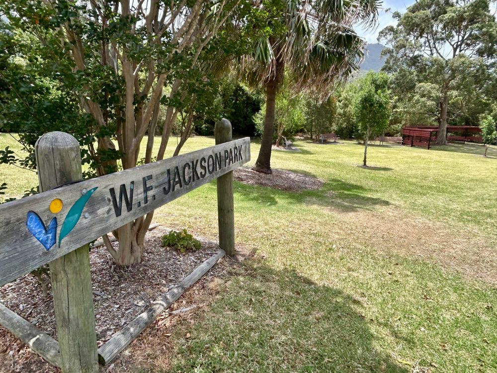 Council rolls on with new skateparks for MacCabe Park and Thirroul post image