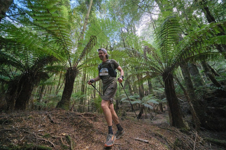 A Night for Takayna: Why protecting Tasmania’s ancient rainforest matters post image