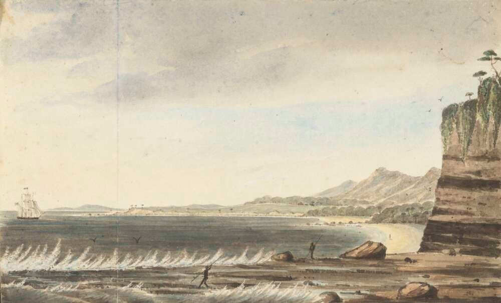 Aboriginal patch-burning helped shape early colonial Illawarra post image