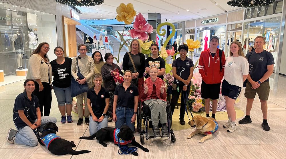 People of all abilities invited to connect with puppies in training post image