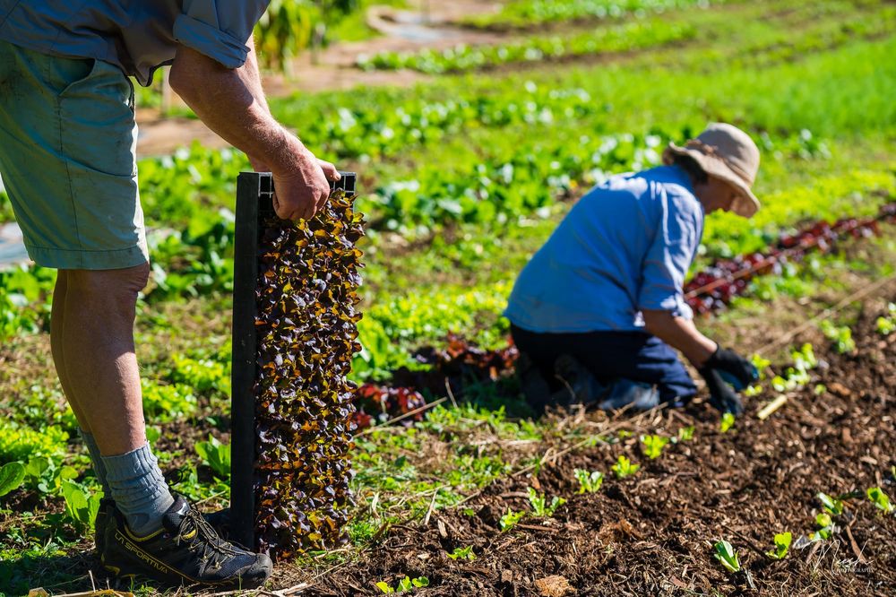 Why volunteering might be the best thing you can do for yourself post image