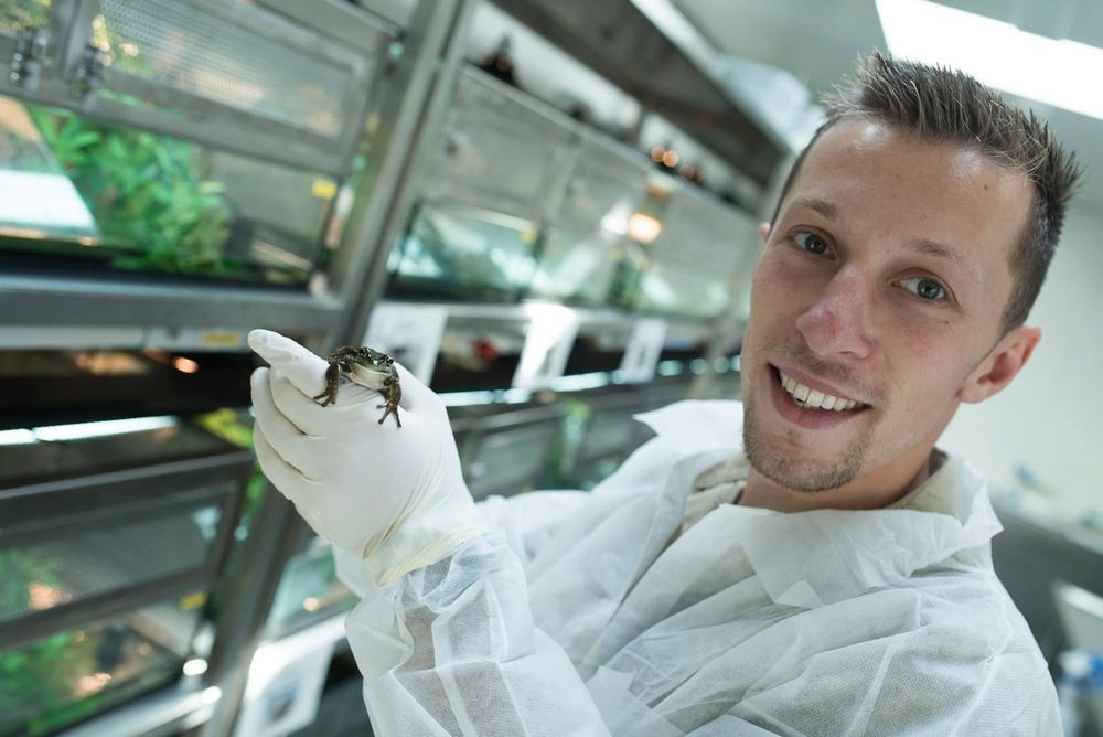 Symbio's conservation chief has had a wild rise post image