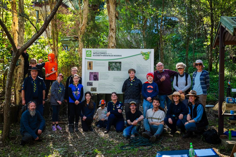 Scouts helped Tullimbah Landcare plant trees post image