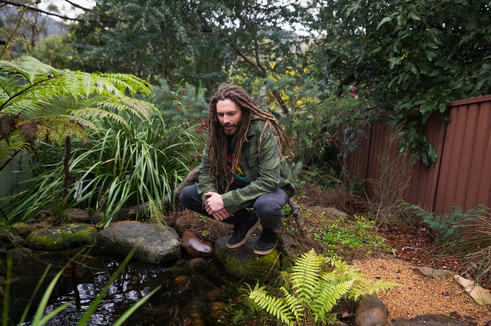 Rip up a lawn and welcome real nature post image