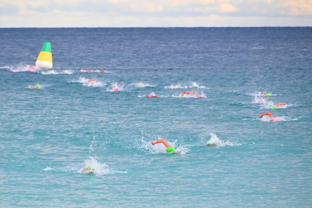 Hello, Tuesday readers post image