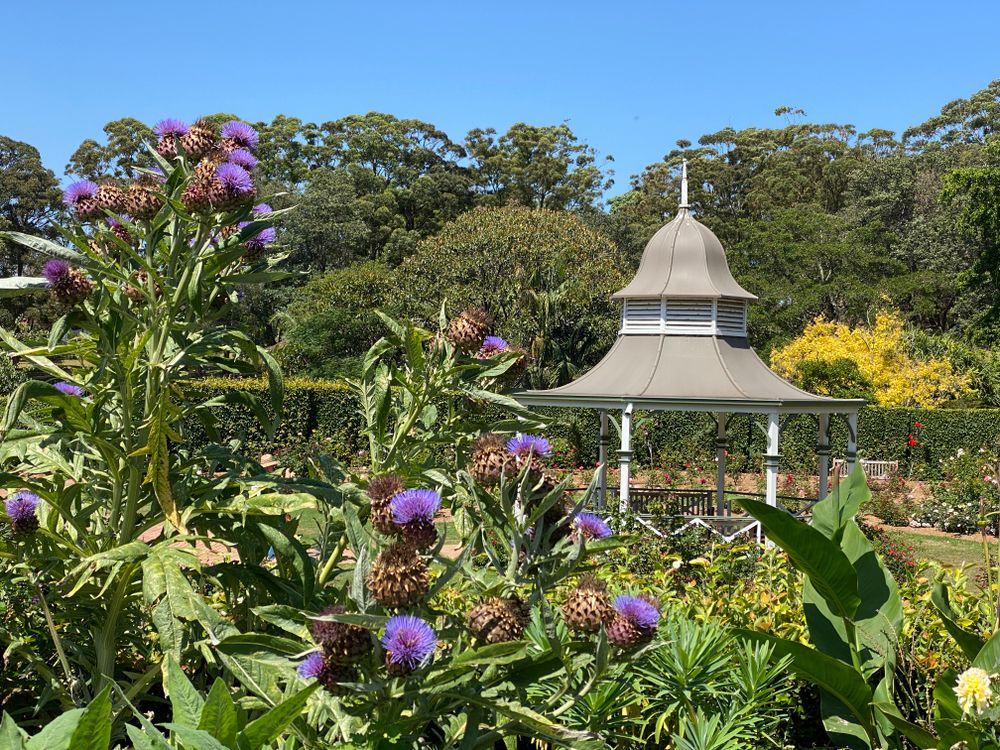 Nature Notes: starting a zoo & art outdoors post image