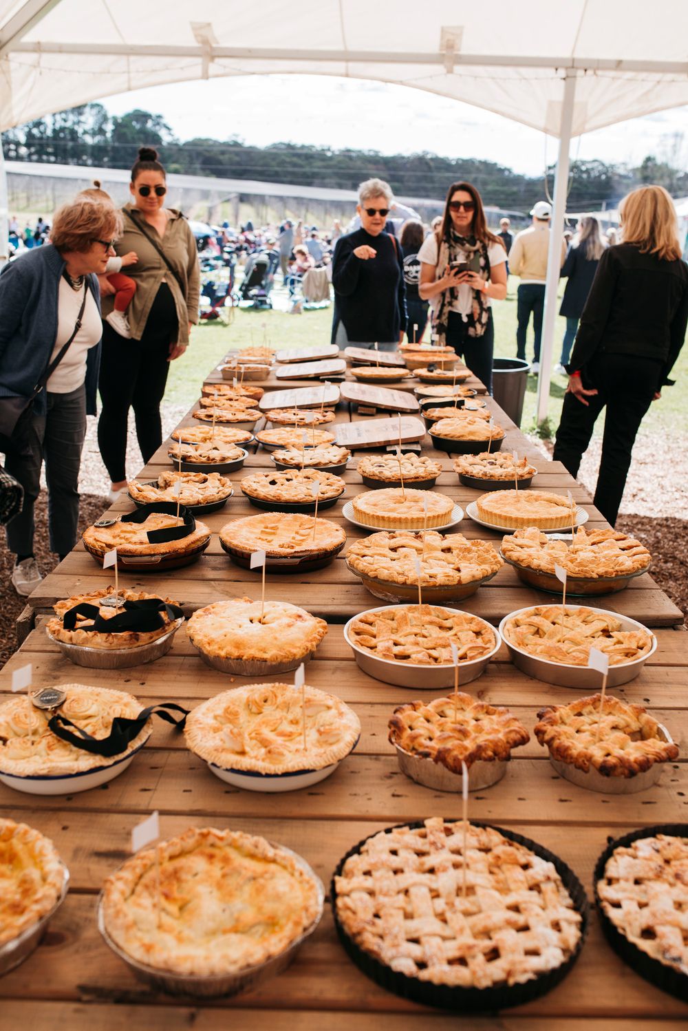 Darkes Glenbernie Orchard has to cancel Apple Pie Day post image