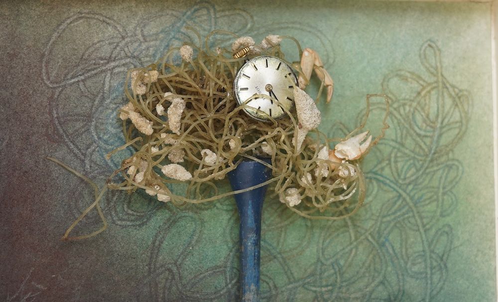Meet an Artist of the Illawarra: Helen McCosker post image