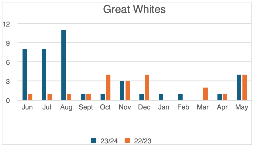 Hello Fish: Shark detections for 2023/24 post image