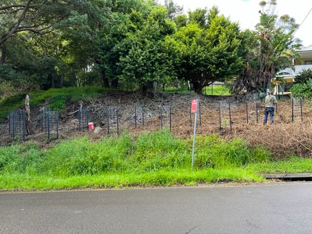 Join a local Bushcare group post image