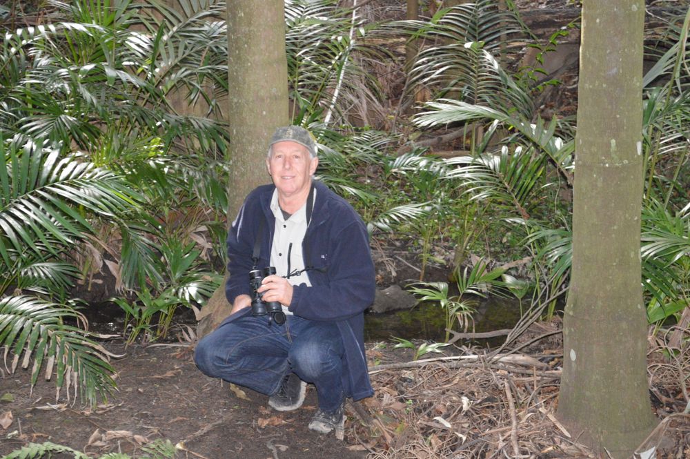 Let the Bird Count begin! post image