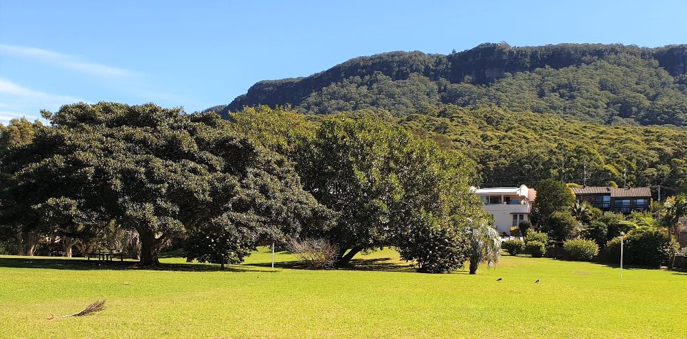 Plans for Glastonbury Garden to bring back its original roots post image