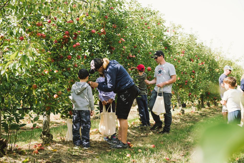 Fabulous February at Glenbernie Orchard post image
