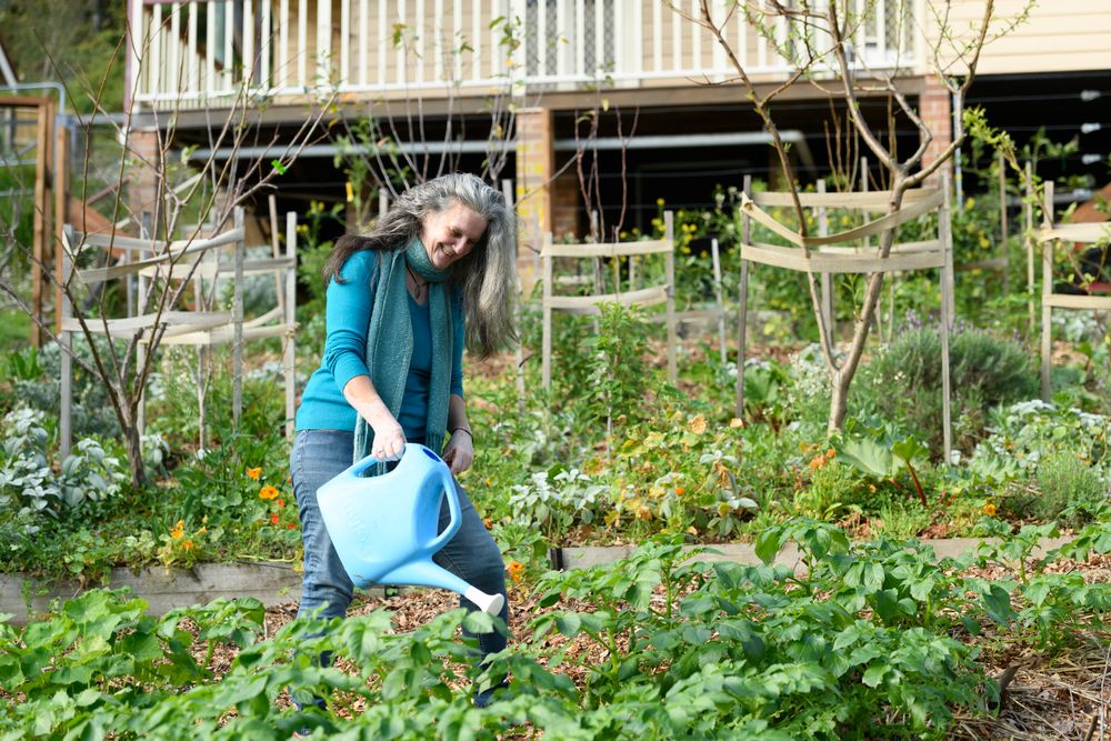 Otford Public School hosts first Sustainability Fair post image