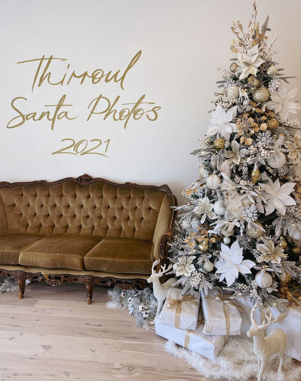 ‘As soon as Halloween is over, my tree is up!’ post image