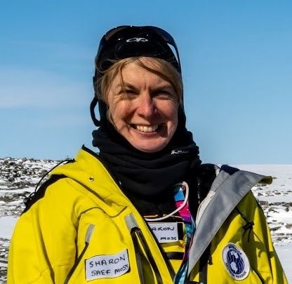 Longer-lasting ozone holes over Antarctica expose seal pups and penguin chicks to much more UV post image