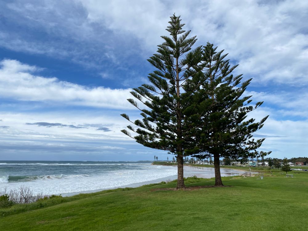 Hello, Wednesday readers post image