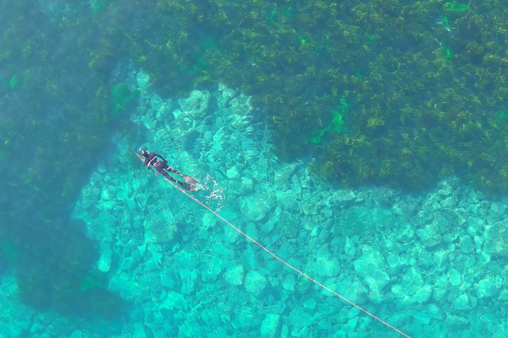 Hello Fish: Snorkelling at Sandon Point post image