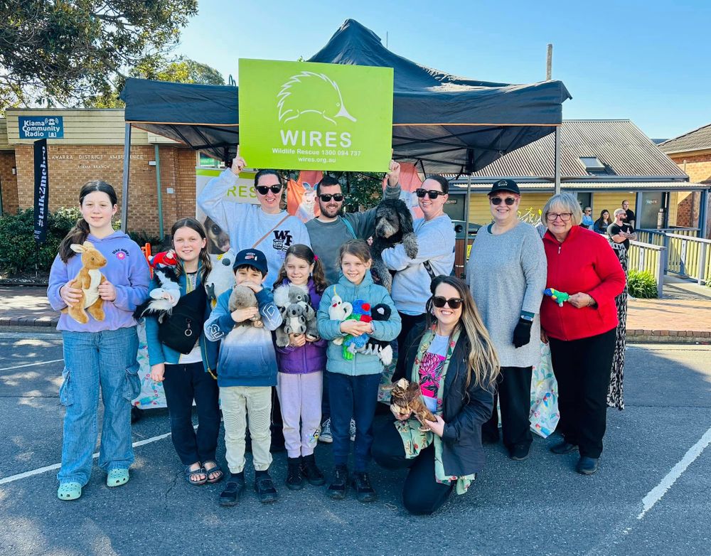 WIRES advice: How to help wildlife in wild weather post image