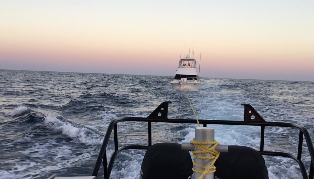 How Marine Rescue NSW volunteers help boaters in distress post image