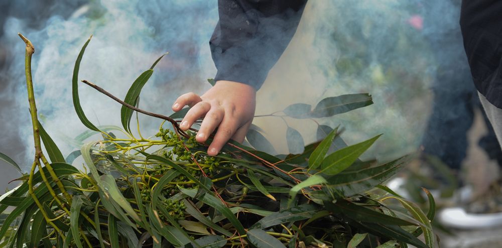 Nominations open for Local Government Regional NAIDOC Awards post image