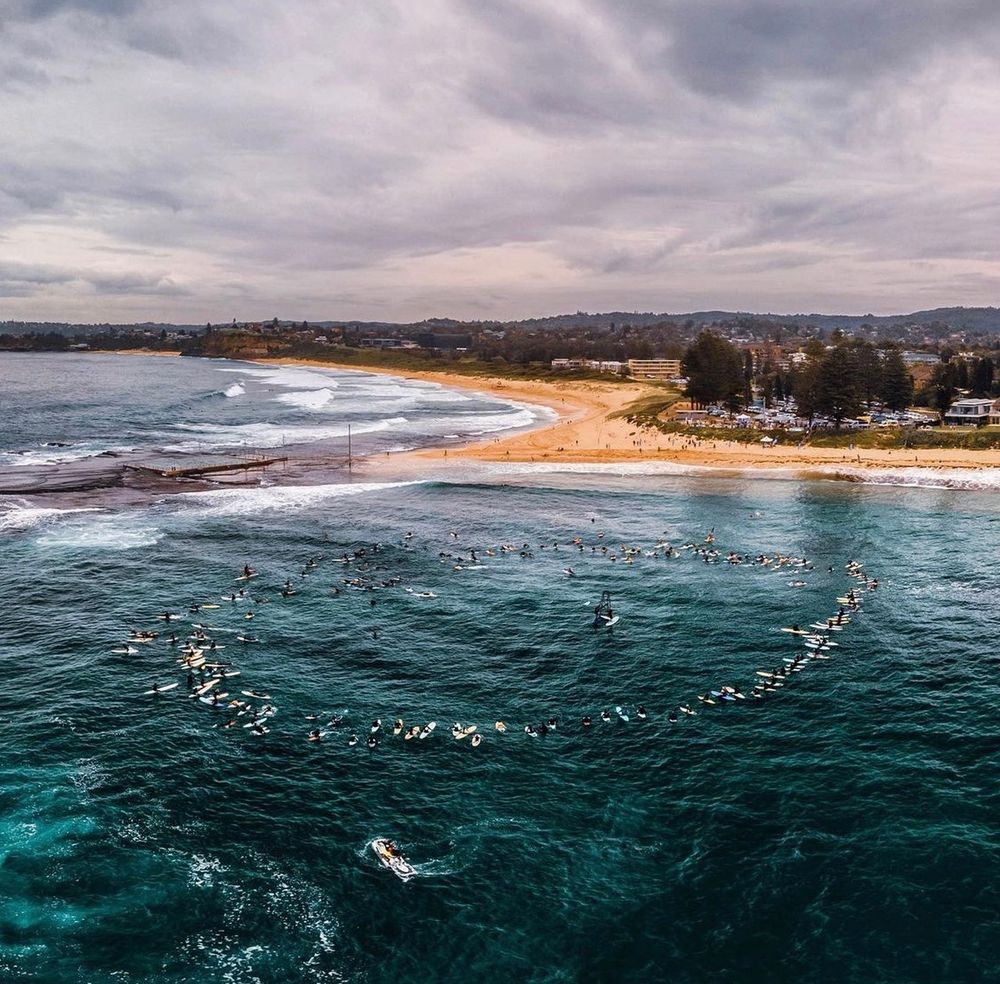 Innovative tech to replace shark nets post image