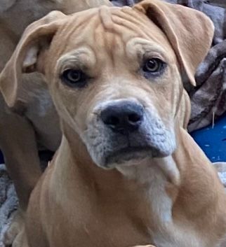 Noni needs a home post image