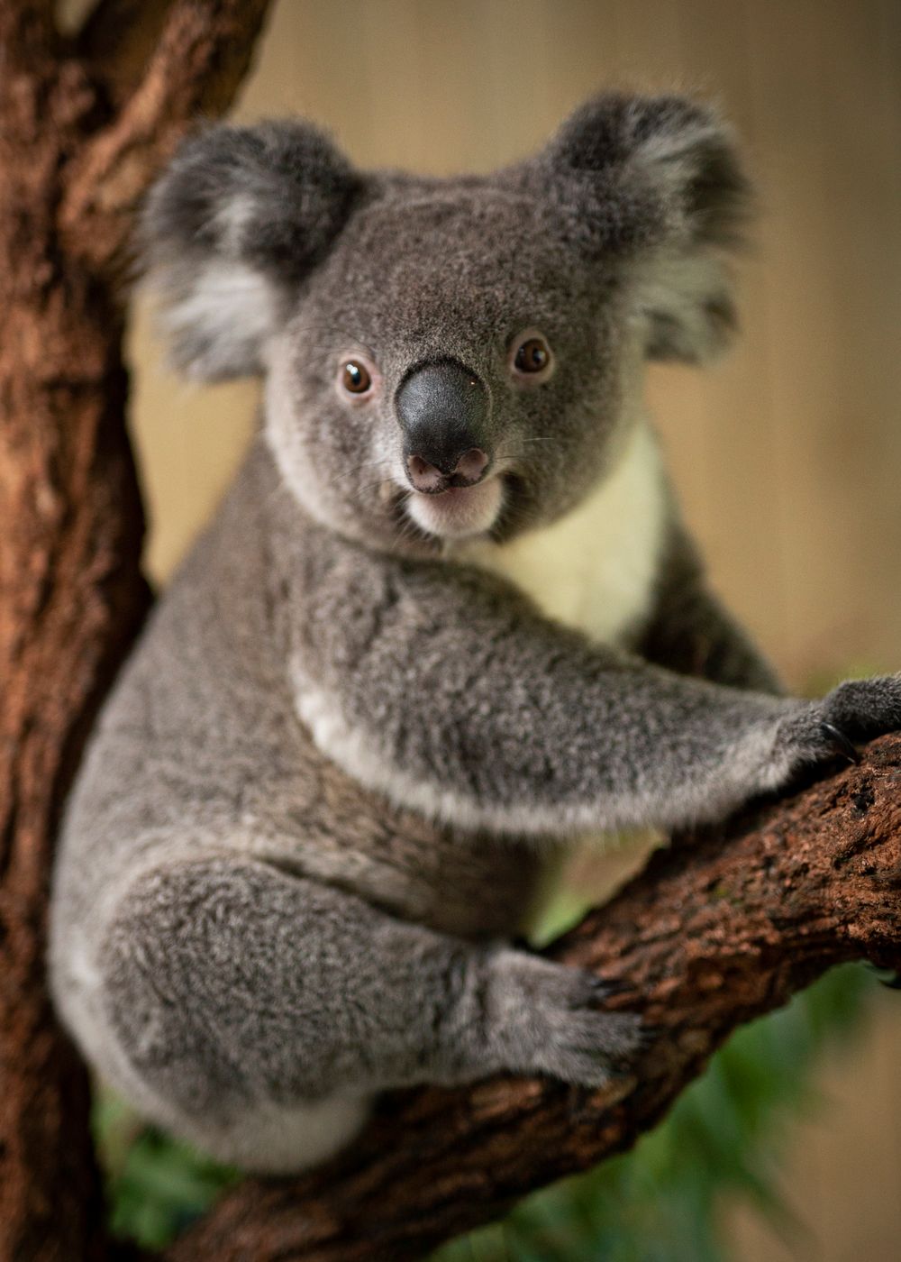 Parents Vouchers welcome post image