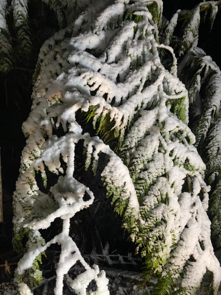 Winter comes early to the region post image