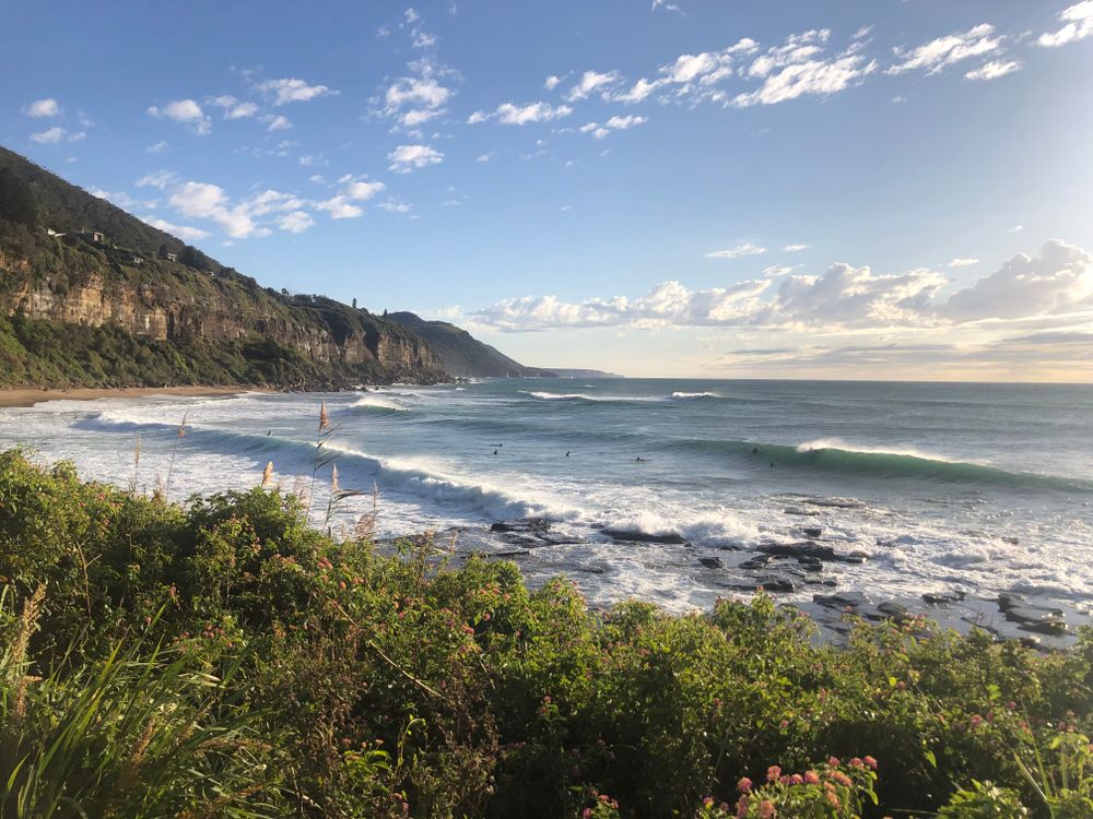 Wave Talk with Dr Rip post image