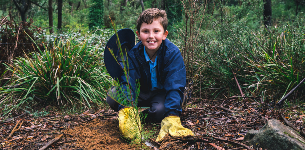 What’s in a poem? That which we call a tree… post image