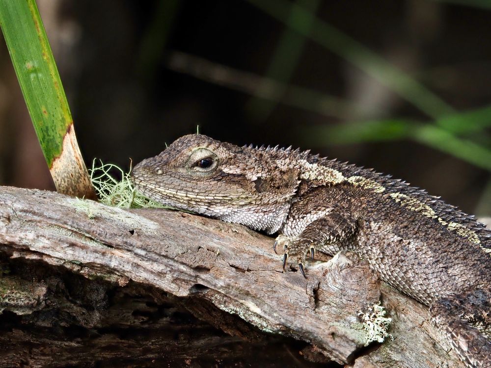 What's happening in nature post image