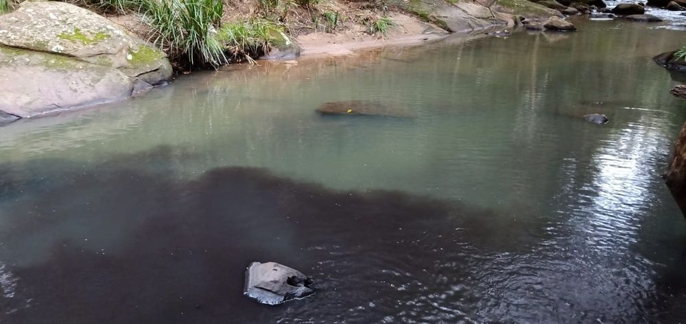 Peabody's statement on creek pollution post image