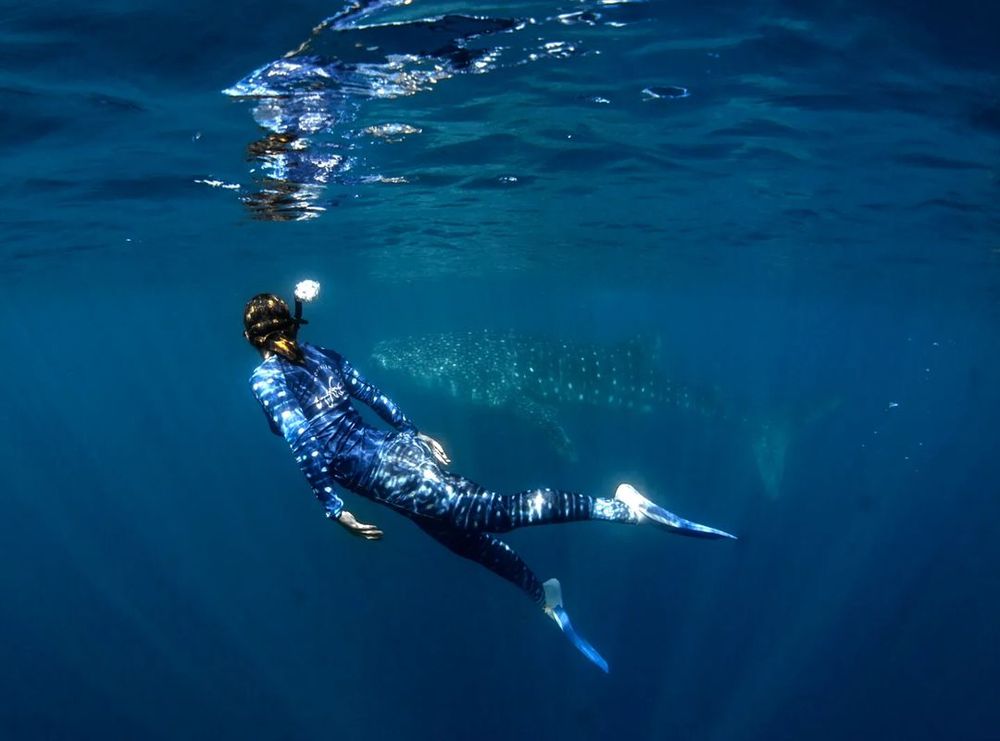 Have Bachelor of Science, will travel post image