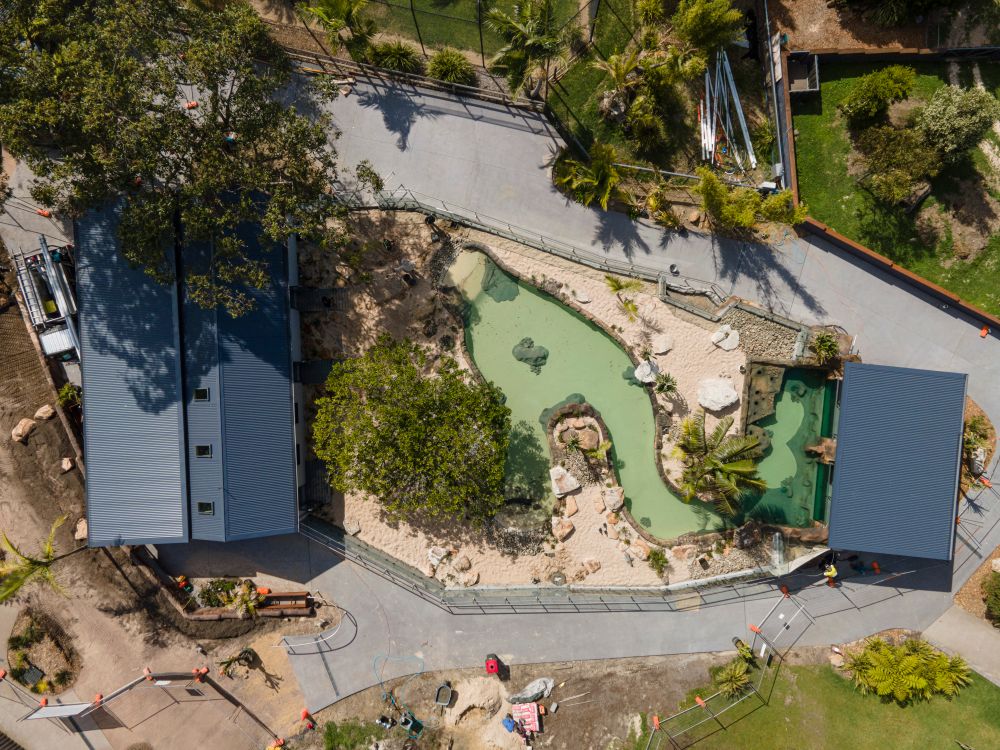 Penguins are coming to Symbio Wildlife Park! post image